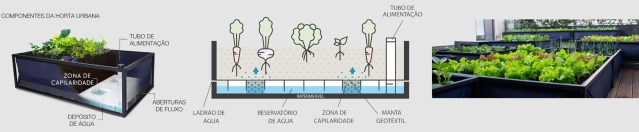 arquitetura-sustentavel-horta-urbana1