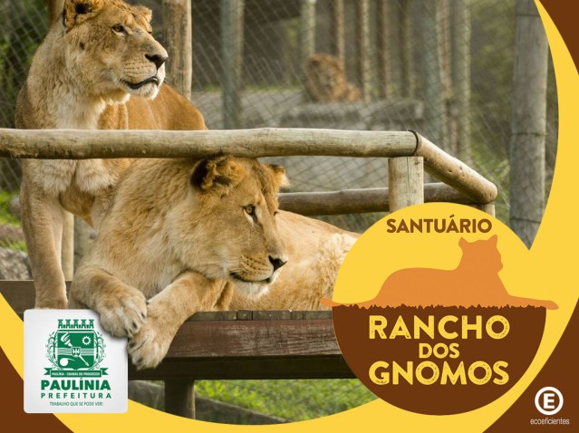 Masterplan_Sustentavel_Rancho_dos_Gnomos